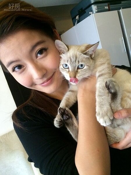 名人會客室 王樂妍（低調娛樂提供）