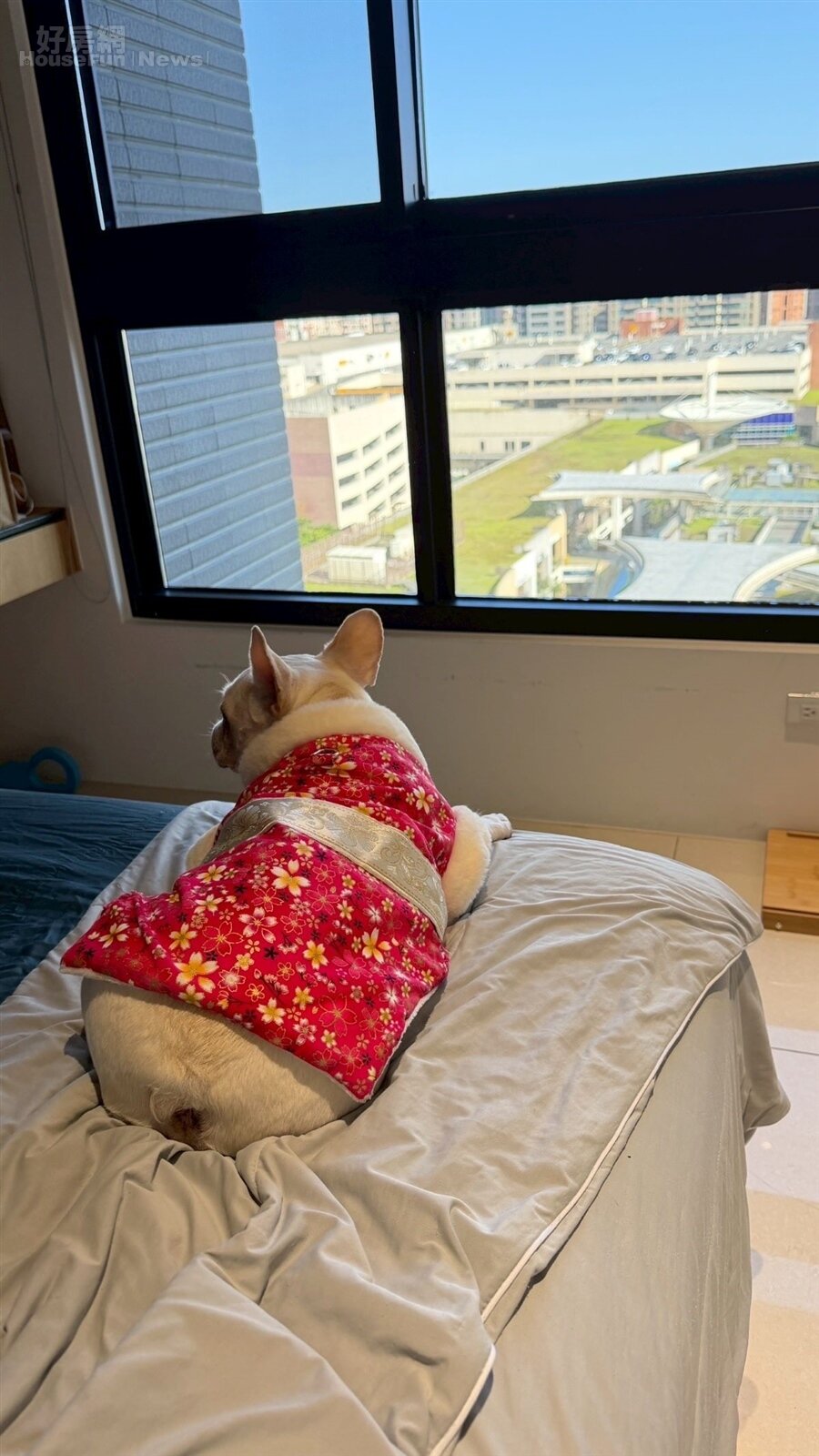 茵聲7