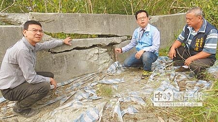 員林市阿寶坑垃圾掩埋場擋土牆龜裂,縣議員曹嘉豪(中)與代表會副主席張國良(左)、大峰里長江茂達等人會勘,憂心忡忡。(鐘武達攝)