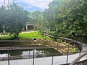 基隆最美兒童遊戲場來了！「希望之丘」終於補齊最後拼圖　亮點曝光