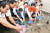 12萬尾小小魚　流進石門水庫