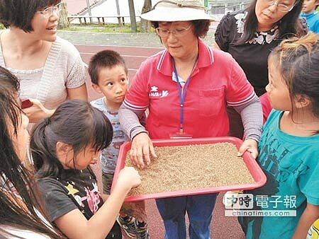 嘉義市社區大學快樂農耕社帶領山美國小學童親土種紅藜,小朋友見成穗果實曬乾打落成類似小米穀物,透過手、鼻仔細感受勞動成果。(王瑄琪攝)