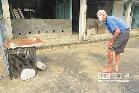 潑猴落網後,被抓傷的老翁羅有寶特別一探牠的狼狽模樣。(陳慶居攝)