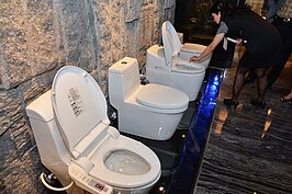 馬桶選擇在現代也已經很多樣化，甚至有些人上廁所有認馬桶的習慣，所以挑選馬桶也十分重要