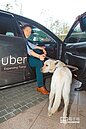 Uber搶客 運將怨交部不夠硬