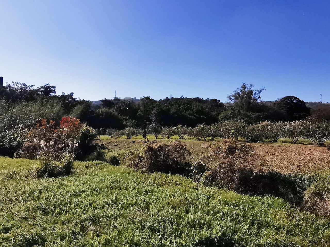 竹科龍潭園區擴建計畫（龍科三期）大復活，原本反對開發的當地居民態度轉變，預計擴建土地為一○四公頃。。 