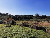 龍科3期擴建復活　傳台積電埃米級製程進駐