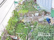 此路卡卡　巷口竟是私人菜園