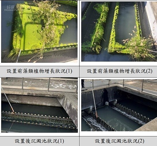 污水廠增設太陽光電發電系統設施之藻類植物增生狀況。圖／南科園區環安組環保科