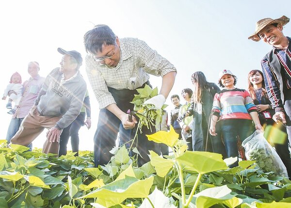 台北市長柯文哲到社子島Homestay，體驗農民生活。 記者楊萬雲／攝影