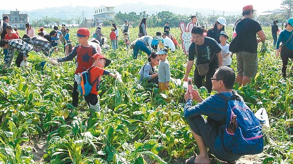 白玉蘿蔔季為美濃冬季遊程揭開序幕。 記者王昭月/攝影