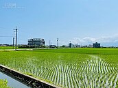 別再誤會了！農地「這樣用」地價稅優惠恐取消、稅額翻倍