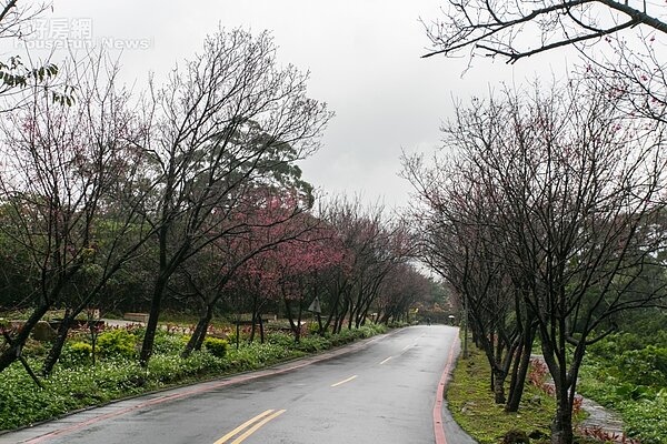 （好房網News記者張聖奕／攝影）