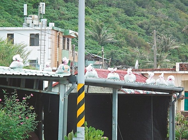 南田村落裡,屋頂上都可以看到一包一包的麻袋景象。( 記者尤聰光/攝影)