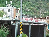 東北季風來了…　全村扛沙包上屋頂