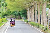 關山自行車道　考慮不收費