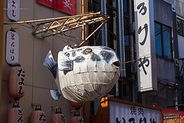 道頓崛最令人印象深刻的莫過於突出於接到之上的大型招牌。跟香港街頭有著異曲同工之妙。這樣的招牌也成為道頓崛的標誌。