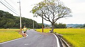 「苗栗伯朗大道」　電桿殺風景促遷