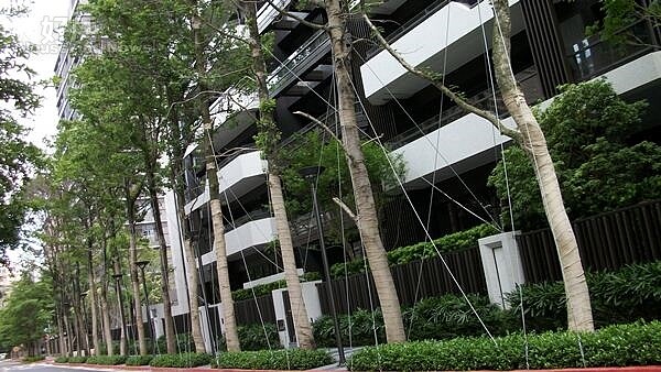 
4「國美大真」外圍綠樹規劃完善，彰顯豪宅大氣。