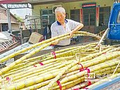 助老農賣甘蔗汁　網友心好甜