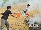 燒稻草濃煙汙染空氣　開罰