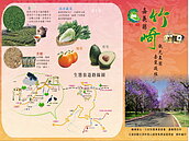 竹崎推套裝行程拼經濟　超夯農業新體驗