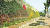 岡山綠化植生牆破金氏紀錄