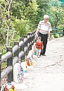 彩繪貓頭鷹　登山步道添石趣