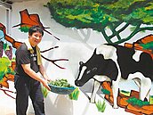 永安市場3D壁畫　「買菜更好玩」