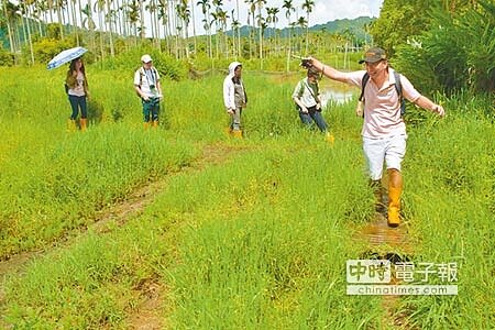 
親近自然頭社盆地「會跳舞的泥土」，充滿鄉土味。（沈揮勝攝）
 