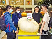 大南瓜評鑑「叫我第一名！」