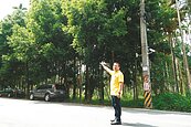 路樹「長進」電線裡　鹿谷人心慌