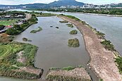 北市社子島濕地　榮獲首批「保育共生地」認證