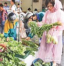 供應量增加　菜價沒飆