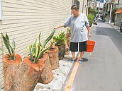 「藝術一條龍」　盆栽美　違停也沒了