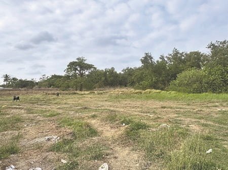 
台南小巨蛋預定地位於東區生產路上，「孵蛋」計畫迄已進入16年，現址仍一片荒蕪。台南市政府強調，4月將重啟招商，拚年底前完成簽約。（曹婷婷攝）
