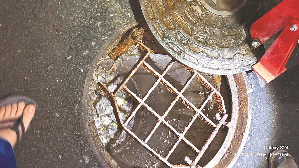 新北市八里區龍米路二段一處住宅社區，地下停車場排水孔汙水溢流，外頭連結公廁與社區的排水孔更曾滿溢至路面。（新北市議員鄭宇恩服務處提供／吳嘉億新北傳真）