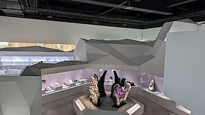 台中科博館全新展廳免費觀賞