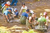 給螢火蟲一個家　志工挖湖泥造堤