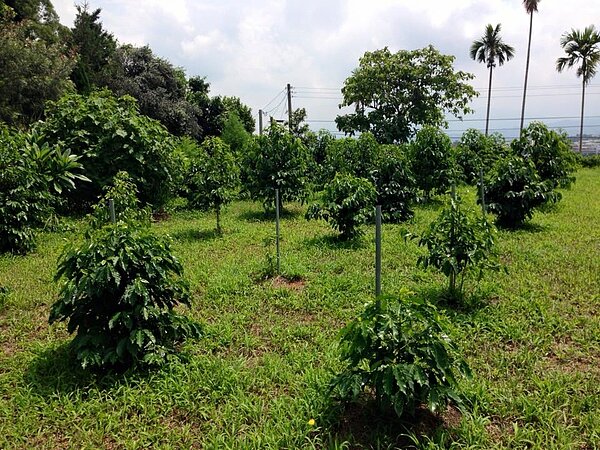 彭作奎期待「農業用地興建農舍辦法」可落實農地農用。(翻攝自彭作奎Facebook)