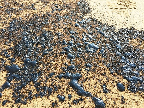 金門又發現黏稠的黑色油污,在沙灘上綿延快一公里。 記者蔡家蓁/攝影