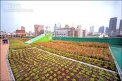 拼低碳城市　高雄綠屋頂補助來了！