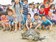 來看海龜下蛋　澎湖生態拚觀光
