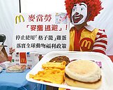 麥當勞被爆用格子籠蛋　恐致癌