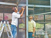 6旬木工伯　帶街友蓋雞豪宅