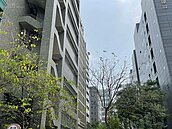 購屋信心創半年新低　微鬆綁成翻轉希望？