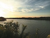 水鳥生態大觀園…　溪埔濕地開放了