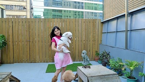 1.羅瑤開起寵物旅館，頂樓還有露天運動場供毛小孩活動。