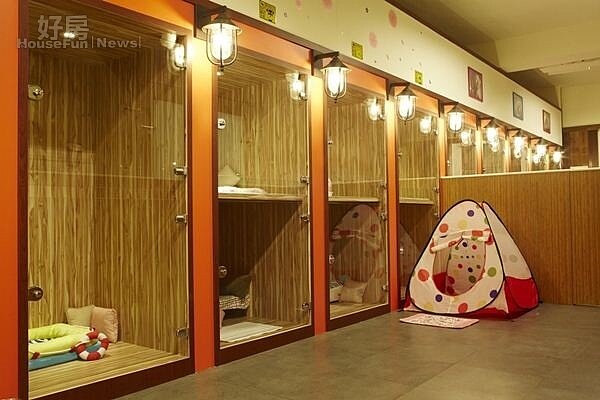 
3.狗狗的房間不再是鐵籠，外頭也有寬敞的活動空間。