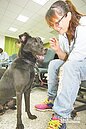 受訓變溫馴　流浪犬等有緣人認養